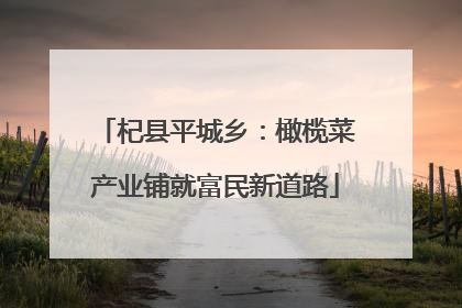 杞县平城乡：橄榄菜产业铺就富民新道路