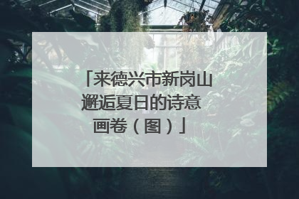 来德兴市新岗山 邂逅夏日的诗意画卷（图）