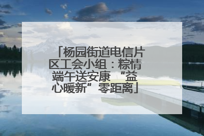 杨园街道电信片区工会小组：粽情端午送安康 “益心暖新”零距离
