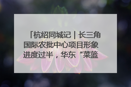 杭绍同城记｜长三角国际农批中心项目形象进度过半，华东“菜篮子”建设加码提速！