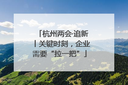 杭州两会·追新丨关键时刻，企业需要“拉一把”