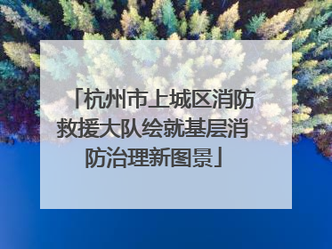杭州市上城区消防救援大队绘就基层消防治理新图景