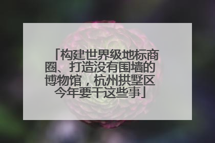 构建世界级地标商圈、打造没有围墙的博物馆，杭州拱墅区今年要干这些事