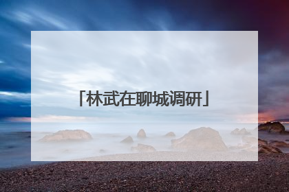 林武在聊城调研