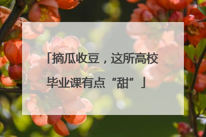 摘瓜收豆，这所高校毕业课有点“甜”