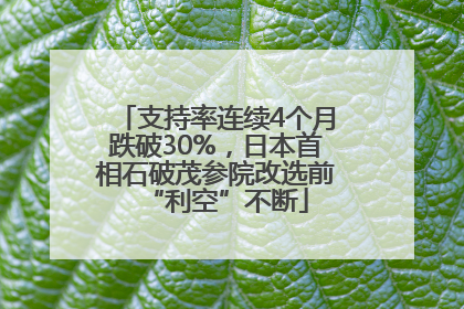 支持率连续4个月跌破30%，日本首相石破茂参院改选前“利空”不断
