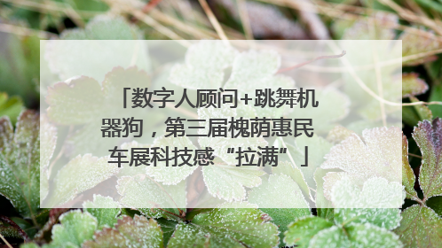 数字人顾问+跳舞机器狗，第三届槐荫惠民车展科技感“拉满”