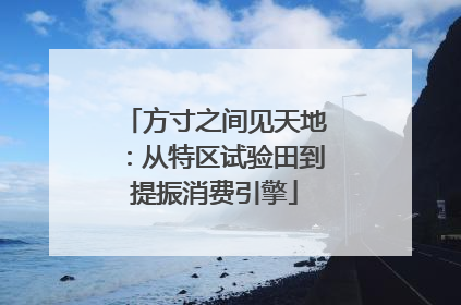 方寸之间见天地：从特区试验田到提振消费引擎