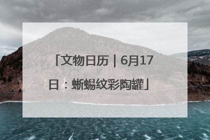 文物日历｜6月17日：蜥蜴纹彩陶罐