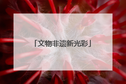 文物非遗新光彩