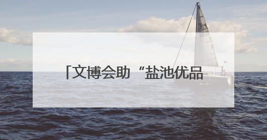 文博会助“盐池优品”对接“湾区市场”！宁夏吴忠市盐池县签约28.44亿元