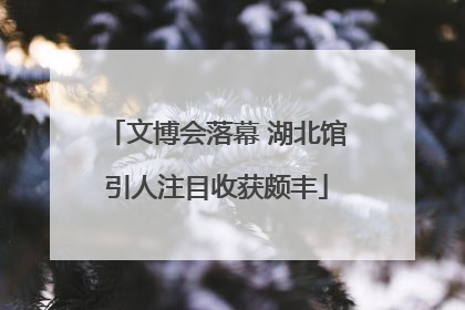 文博会落幕 湖北馆引人注目收获颇丰