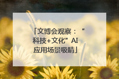 文博会观察：“科技+文化”AI应用场景吸睛