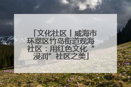 文化社区丨威海市环翠区竹岛街道观海社区：用红色文化“浸润”社区之美