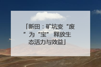 新田：矿坑变“废”为“宝” 释放生态活力与效益