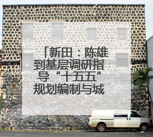 新田：陈雄到基层调研指导“十五五”规划编制与城乡品质大提升工作