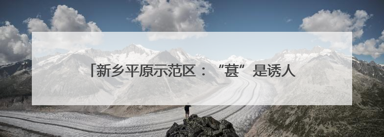新乡平原示范区：“葚”是诱人！黄河滩百亩桑葚等你来采摘