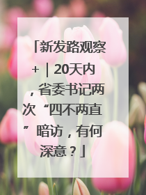 新发路观察+｜20天内，省委书记两次“四不两直”暗访，有何深意？