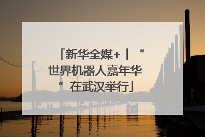 新华全媒+丨“世界机器人嘉年华”在武汉举行