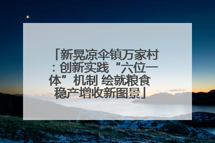 新晃凉伞镇万家村：创新实践“六位一体”机制 绘就粮食稳产增收新图景