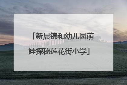 新晨锦和幼儿园萌娃探秘莲花街小学