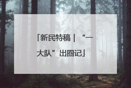 新民特稿｜“一大队”出圈记