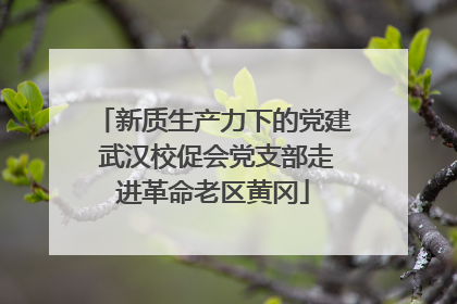 新质生产力下的党建 武汉校促会党支部走进革命老区黄冈