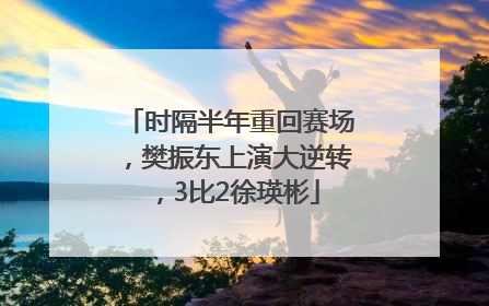 时隔半年重回赛场，樊振东上演大逆转，3比2徐瑛彬