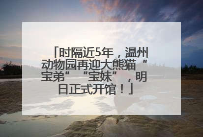 时隔近5年，温州动物园再迎大熊猫“宝弟”“宝妹”，明日正式开馆！