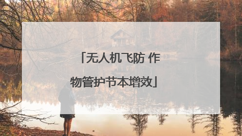 无人机飞防 作物管护节本增效