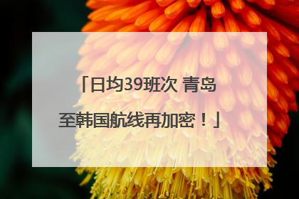 日均39班次 青岛至韩国航线再加密！
