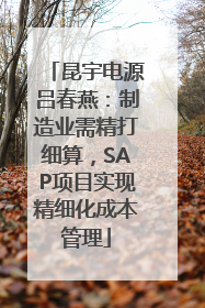 昆宇电源吕春燕：制造业需精打细算，SAP项目实现精细化成本管理