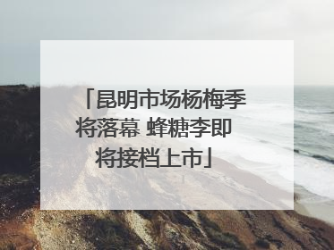 昆明市场杨梅季将落幕 蜂糖李即将接档上市