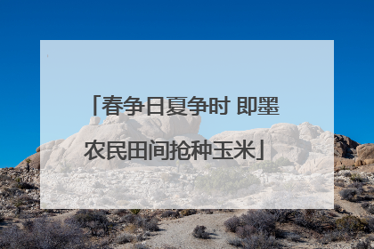 春争日夏争时 即墨农民田间抢种玉米