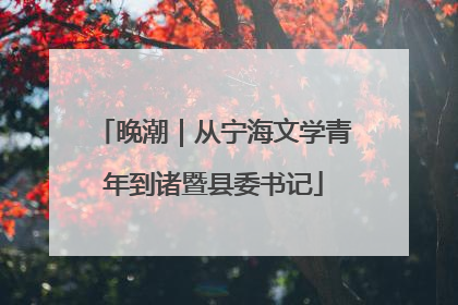 晚潮｜从宁海文学青年到诸暨县委书记