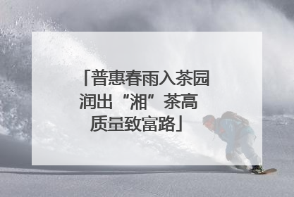 普惠春雨入茶园 润出“湘”茶高质量致富路