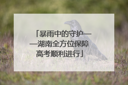 暴雨中的守护——湖南全方位保障高考顺利进行