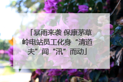 暴雨来袭 保康茅草岭电站员工化身“清道夫”闻“汛”而动