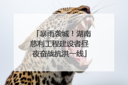 暴雨袭城！湖南慈利工程建设者昼夜奋战抗洪一线