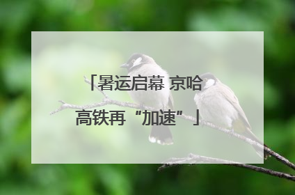 暑运启幕 京哈高铁再“加速”