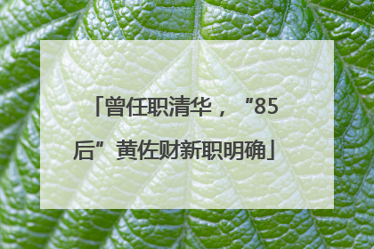 曾任职清华，“85后”黄佐财新职明确