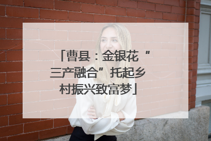 曹县：金银花“三产融合”托起乡村振兴致富梦