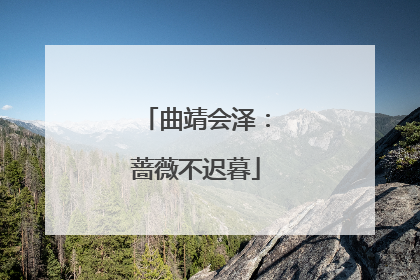 曲靖会泽：蔷薇不迟暮