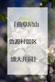 曲阜尼山鲁源村景区盛大开园