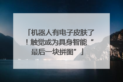 机器人有电子皮肤了！触觉或为具身智能“最后一块拼图”