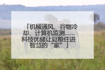 机械通风、谷物冷却、计算机监测……科技优储让夏粮住进智慧的“家”