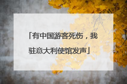 有中国游客死伤，我驻意大利使馆发声