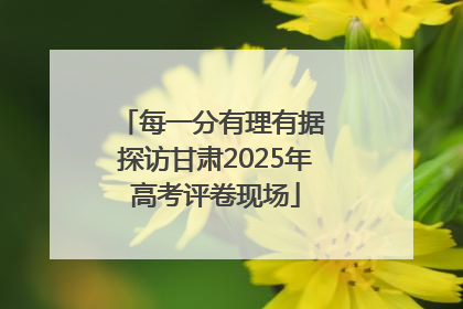 每一分有理有据 探访甘肃2025年高考评卷现场
