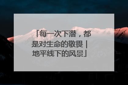 每一次下潜，都是对生命的敬畏｜地平线下的风景