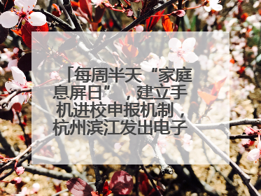 每周半天“家庭息屏日”，建立手机进校申报机制，杭州滨江发出电子设备“十约定”